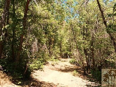 5th image of 258 Big Bear Trl