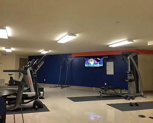 Rented by Peter Ashe | media 17