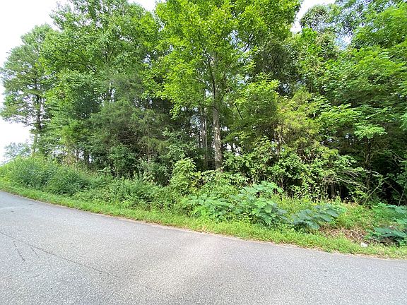 2nd image of 0 Pannell Ln
