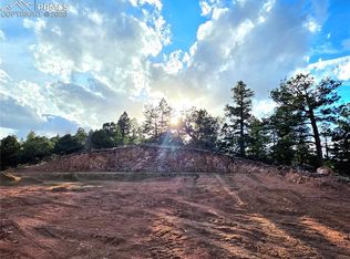 204 Pine Rd, Florissant, CO 80816