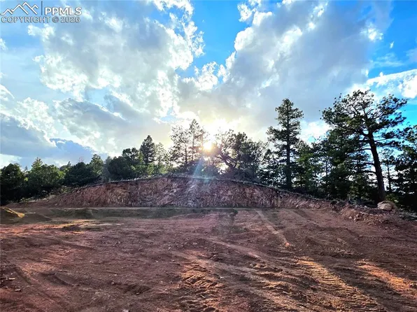 204 Pine Rd, Florissant, CO 80816