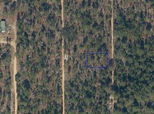 233 Maple Dr #18, Interlachen, FL 32148