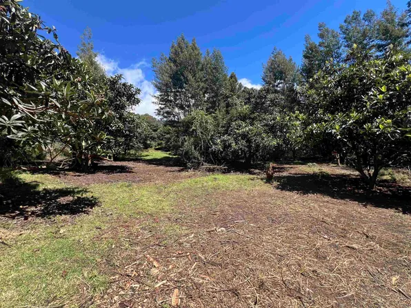 0 Waiakoa Rd, Kula, HI 96790