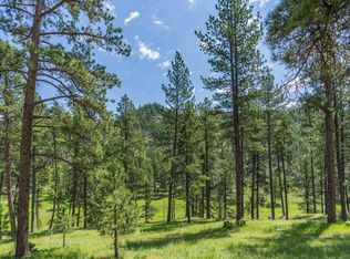 7 Placer Place Ct, Hill City, SD 57745