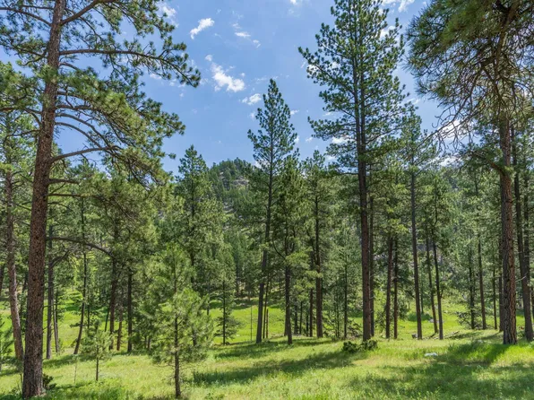 7 Placer Place Ct, Hill City, SD 57745