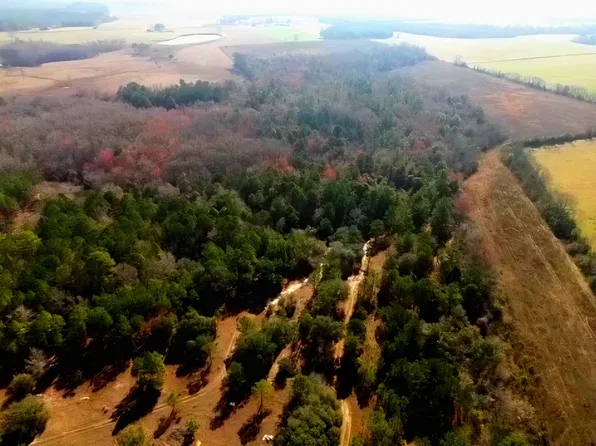 537 Horseshoe Bend Rd, Ocilla, GA 31774