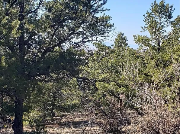 150/152 Lake Of The Falls Parkway, Mosca, CO 81146