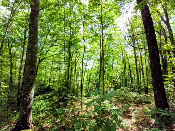 LOT 11 E Cliff Rd, Cullowhee, NC 28723