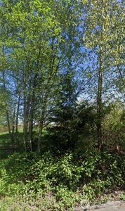1111 124th Avenue NE, Woodinville, WA, 98072