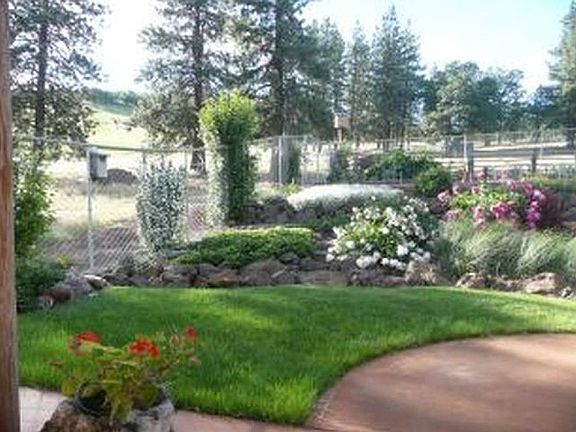 lawn and garden area