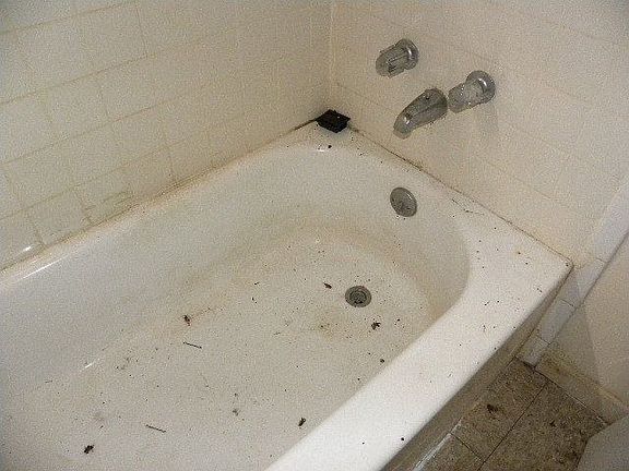 2586 Dakar, Memphis, TN 38127