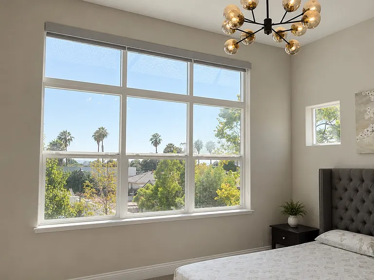 40665 Squill Cmn — Photo 10