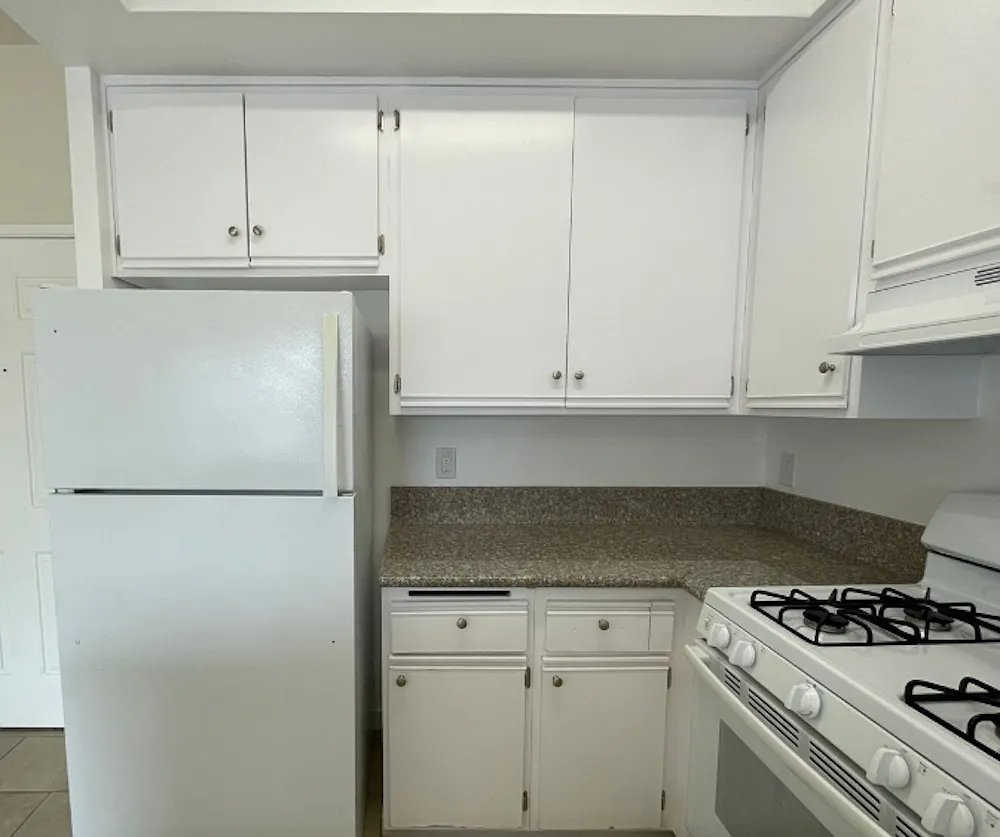 11459 COLLINS ST. — Photo 4