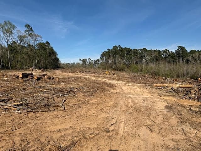 1st image of 1955 County Road 201