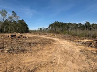 1955 County Road 201, Center, TX 75935