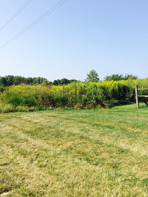 1st image of 1487 State Route 131