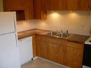 Clean and efficient kitchen