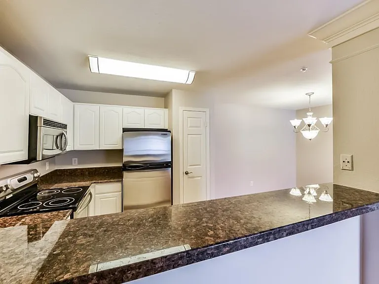 3231 Allen Pkwy #6307 — Photo 19