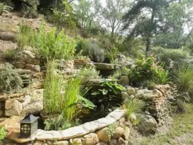 NW side yard 
Waterfall & pond