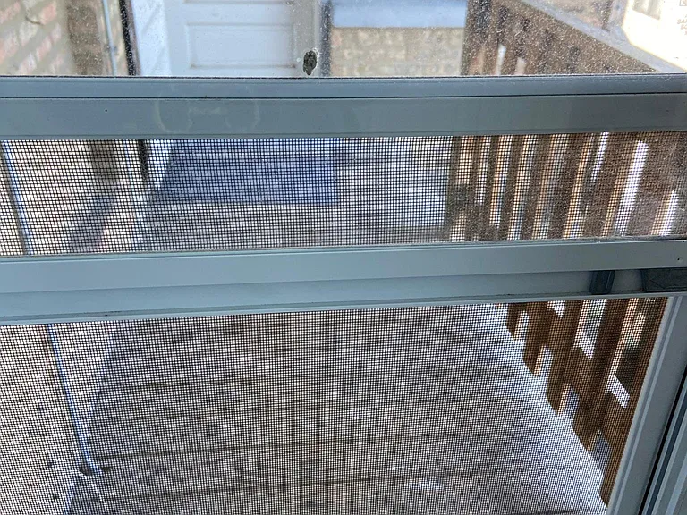 3819 1/2 N Greenview Ave #3 — Photo 9