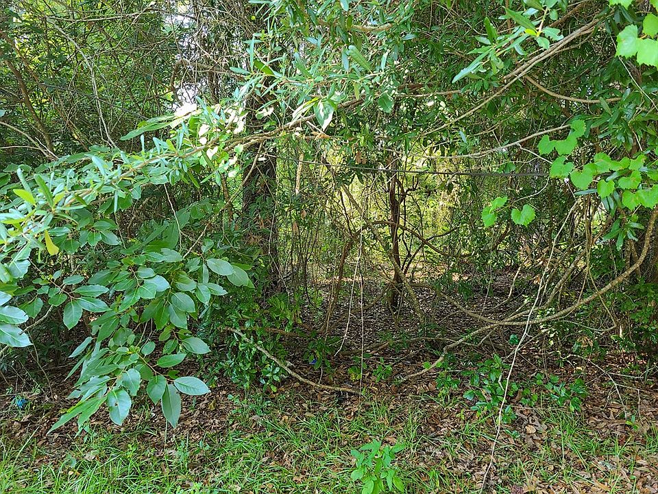 2nd image of 2 Hillside Dr