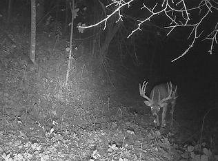 20489 Halls Branch Rd, Gays Mills, WI 54631