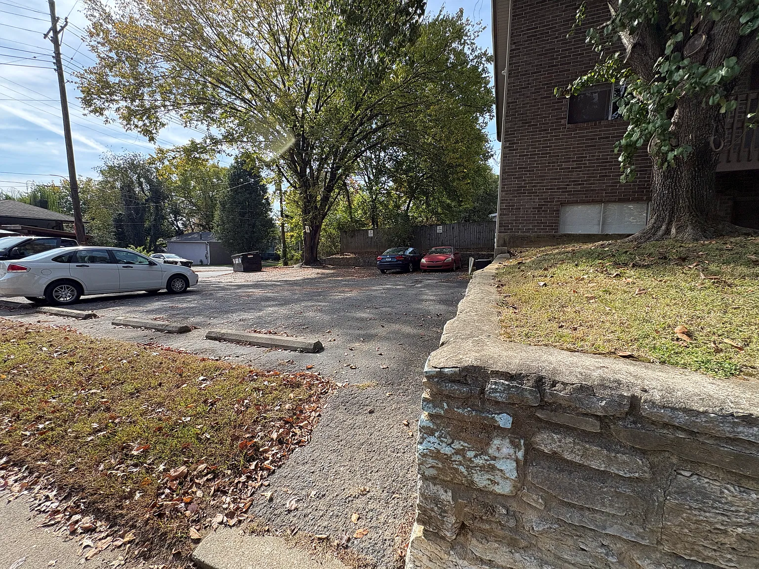 1 bed, 596 sqft, $895 — Photo 2