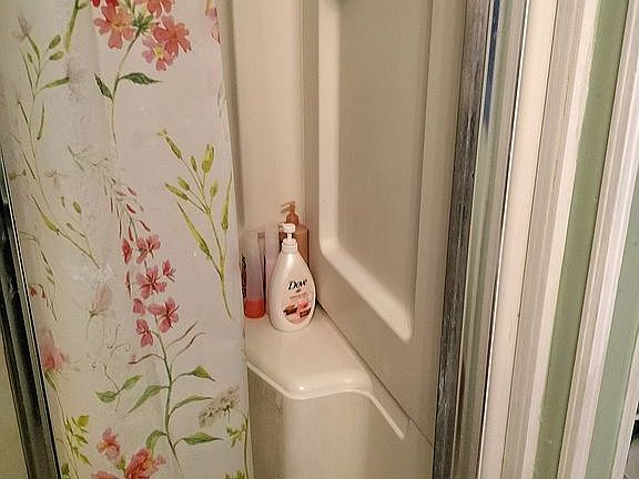 Walk in shower in Master bed