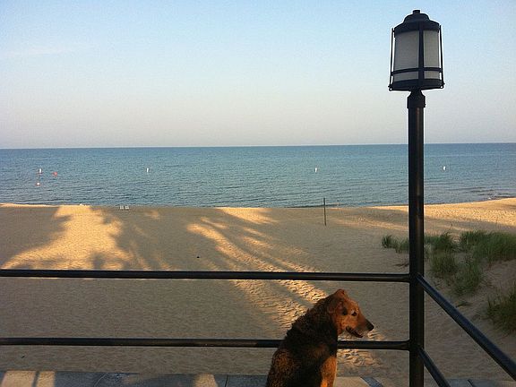 Community Patio View