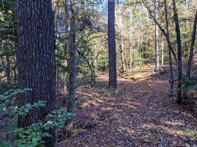 County Road 4120, Jacksonville, TX, 75766
