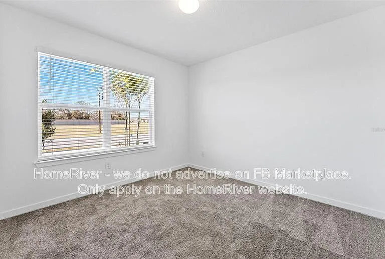 10826 Sapphire Breeze Cv — Photo 14