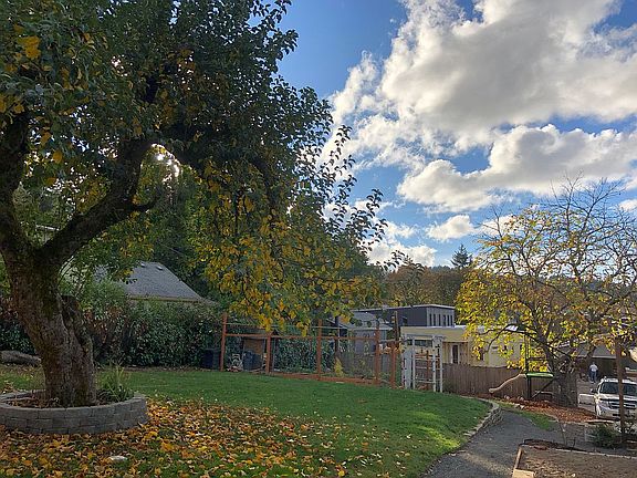 Front yard and garden 