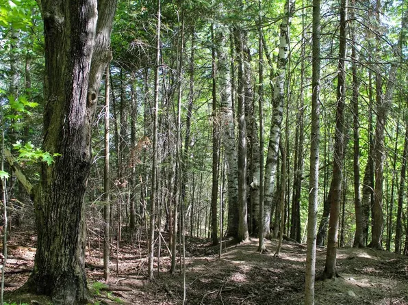 +/- 35.09 Acres KENNEDY STREET, Rib Lake, WI 54470