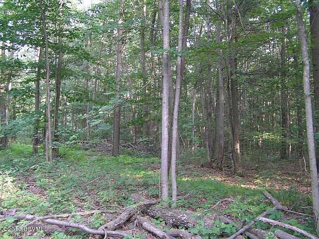 2nd image of 11 Acres Woodside Rd