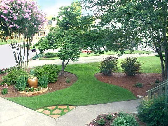 Professionally Landscaped Front Yard