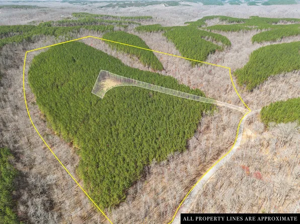 0 Cotton Branch Rd Lot 2B, Linden, TN 37096