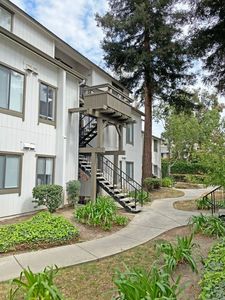 1996 Tradan Dr, San Jose, CA, 95132
