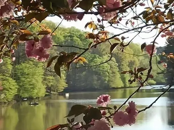 2382 Merrymount Dr, Suwanee, GA 30024