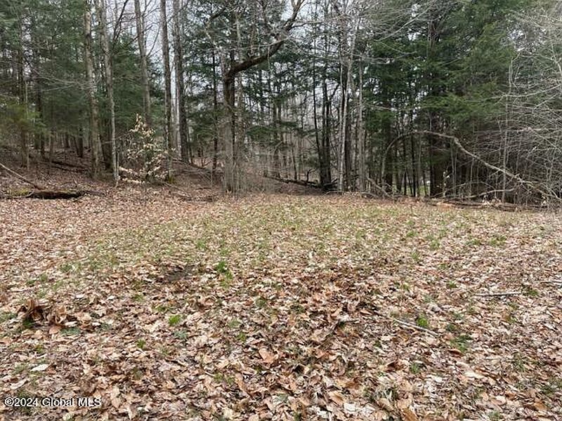 3rd image of 0 Red Pond Road Road