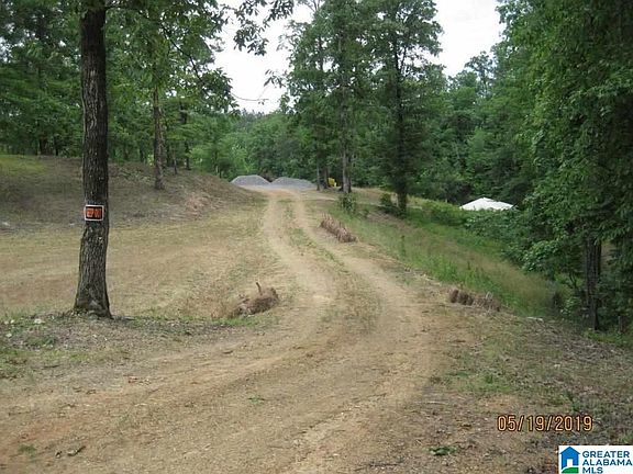 3rd image of 730 County Road 730 Lot 48