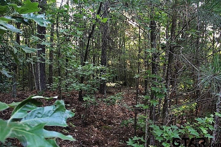 1st image of 17682 E Lake Estates Dr