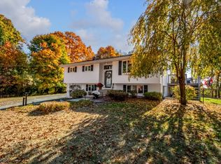 40 Ironia Rd, Randolph, NJ 07869