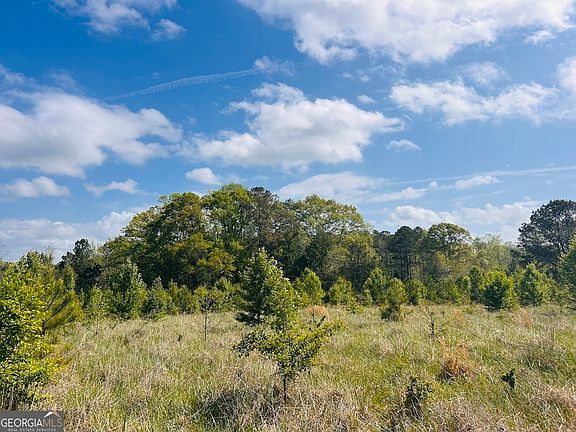 3rd image of 0 Collier Rd Tract 1