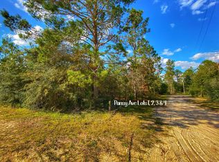 Pansy Ln, Defuniak Springs, FL 32433