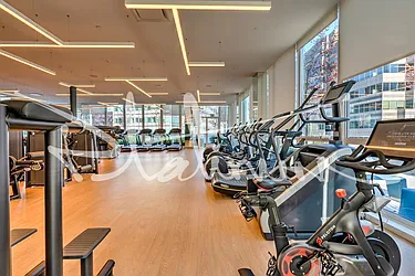 Rented by Platinum Properties