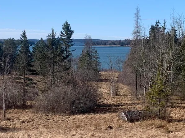 29 Captain Douglas Lane, Trenton, ME 04605