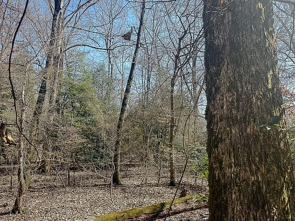 Compass South Land Sales Arkansas Fountain Creek 35