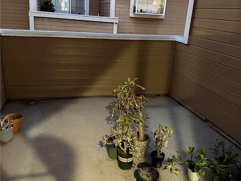 329 Genoa St #D — Photo 14