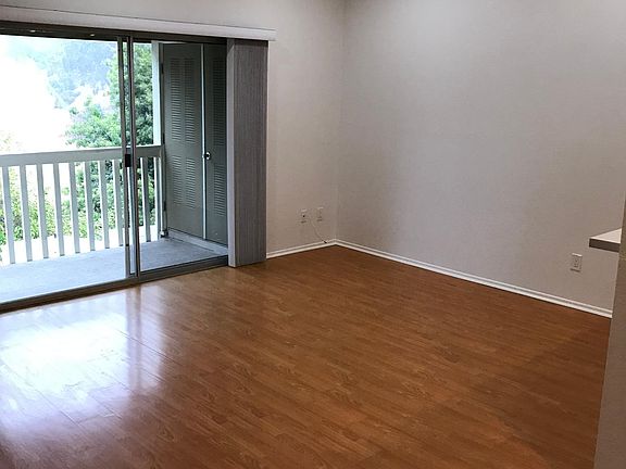 Living room unfurnished