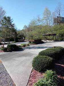 50 Timber Leaf Dr Lot 19 & 20, Sylva, NC, 28779